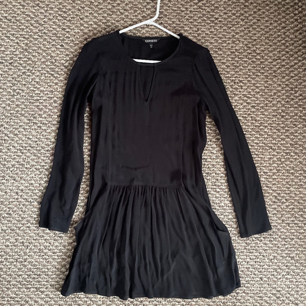 Express Black Drop Waist Dress with pockets